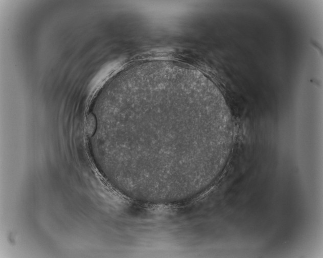 X0000099930293200806131409