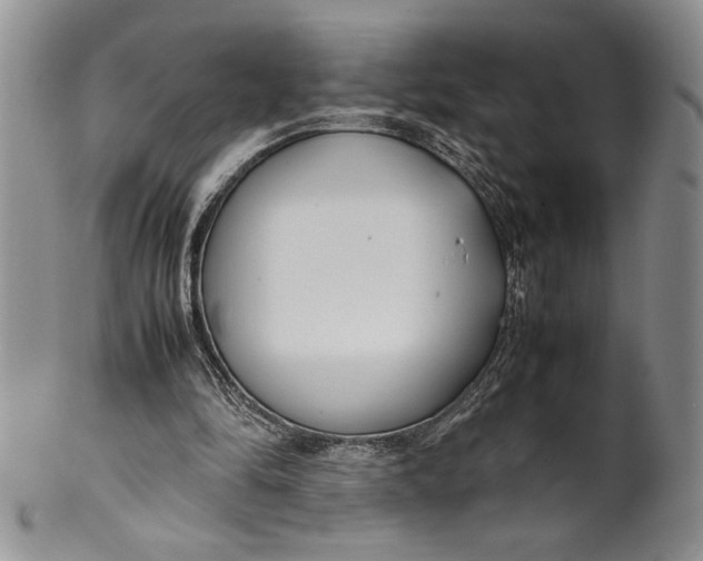 X0000099930294200806131409