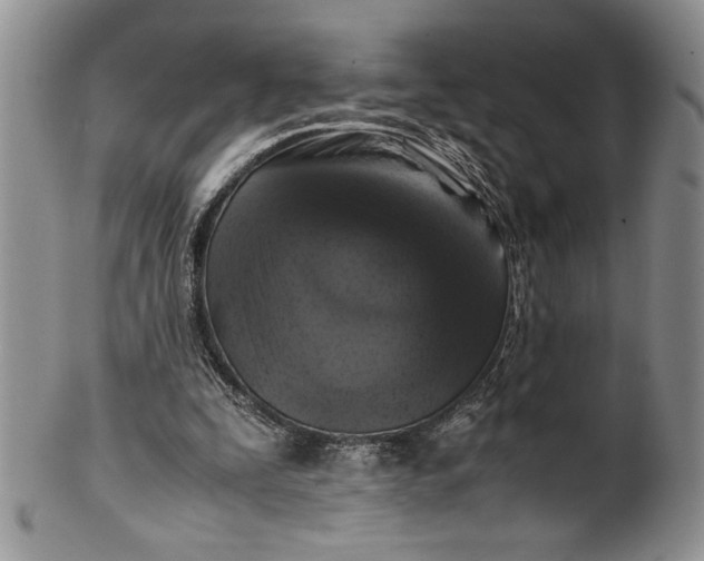 X0000099930295200806131409