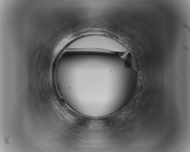 X0000099930296200806131409