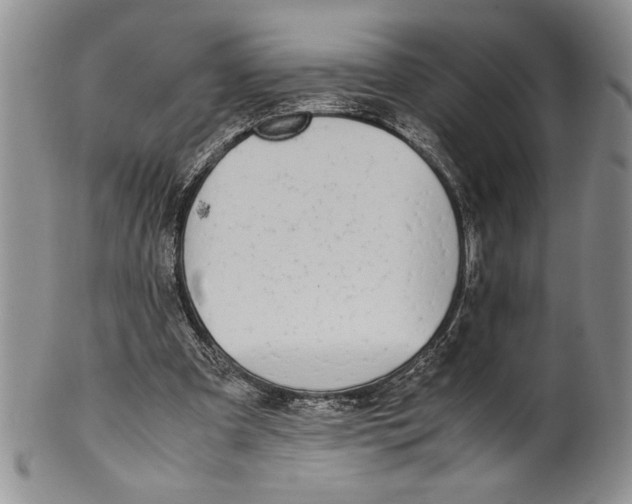 X0000099930297200806131409