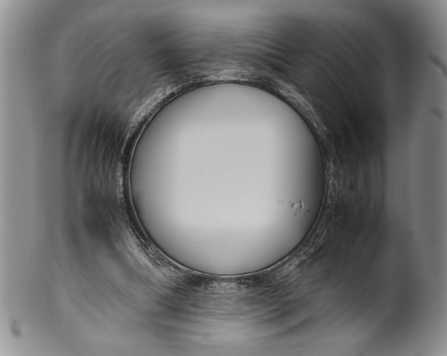 X0000099930298200806131409