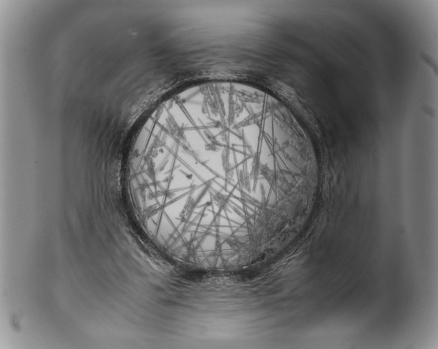 X0000099930299200806131409