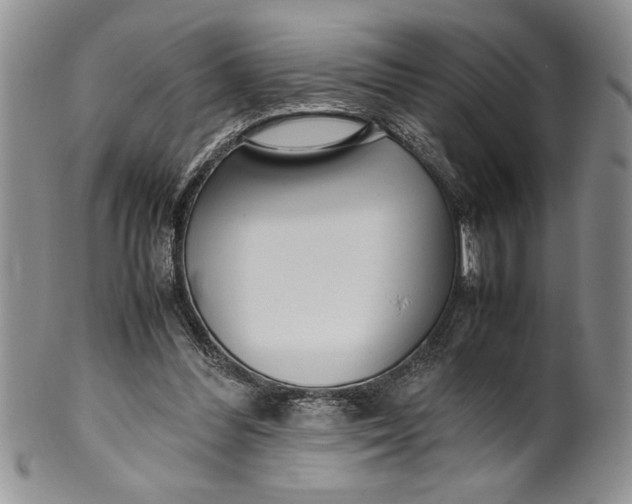 X0000099930300200806131409