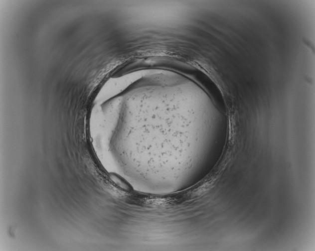 X0000099930301200806131409