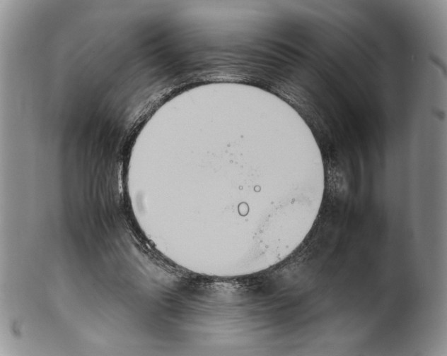 X0000099930302200806131409