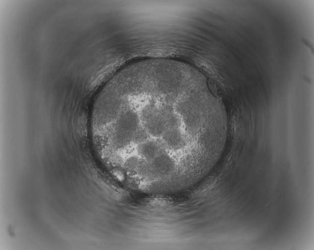 X0000099930303200806131409