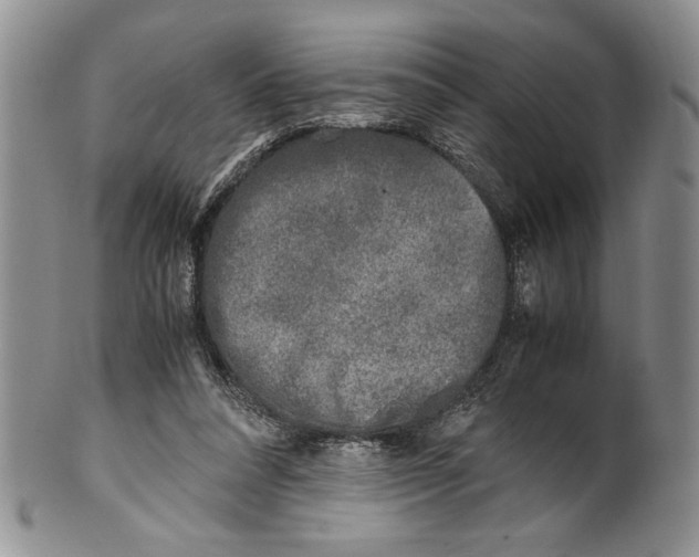 X0000099930304200806131409