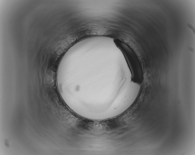 X0000099930305200806131409