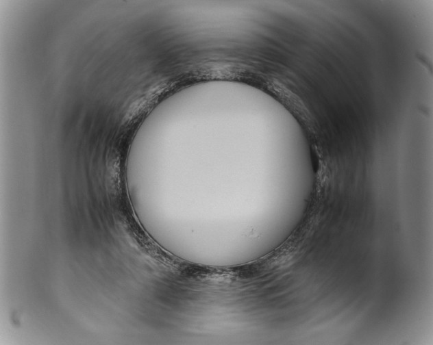 X0000099930306200806131409