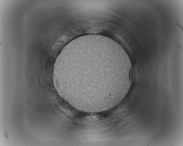 X0000099930307200806131409