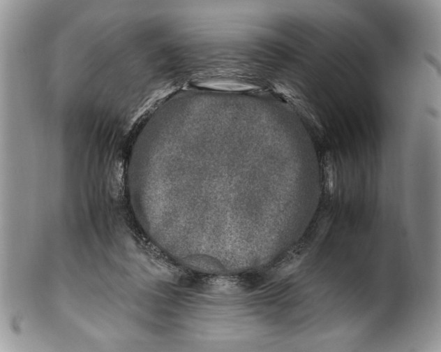 X0000099930308200806131409