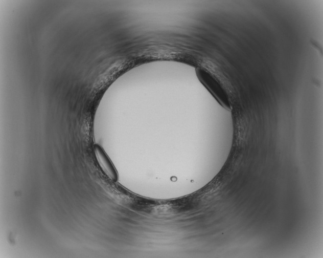 X0000099930309200806131409