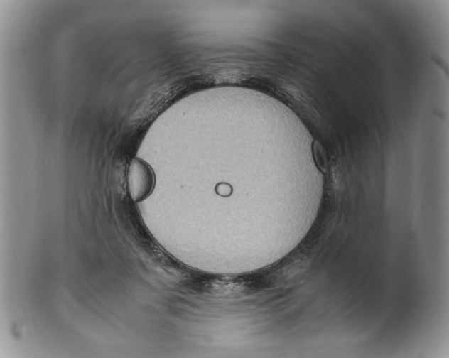 X0000099930311200806131409