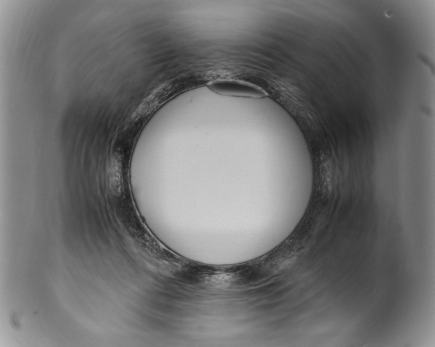 X0000099930312200806131409