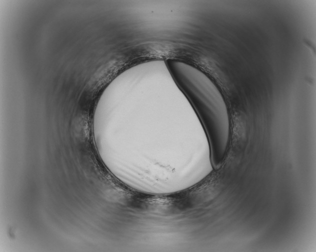 X0000099930313200806131409