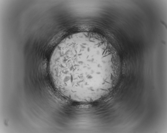 X0000099930314200806131409