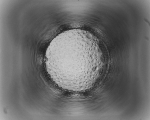 X0000099930315200806131409