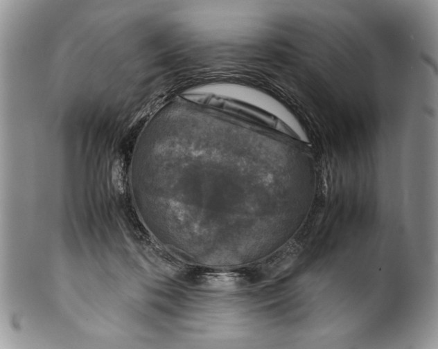 X0000099930316200806131408