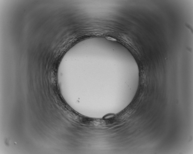 X0000099930317200806131408