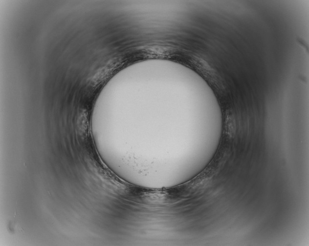 X0000099930318200806131408