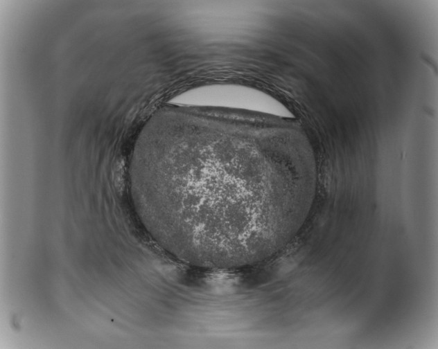 X0000099930319200806131408