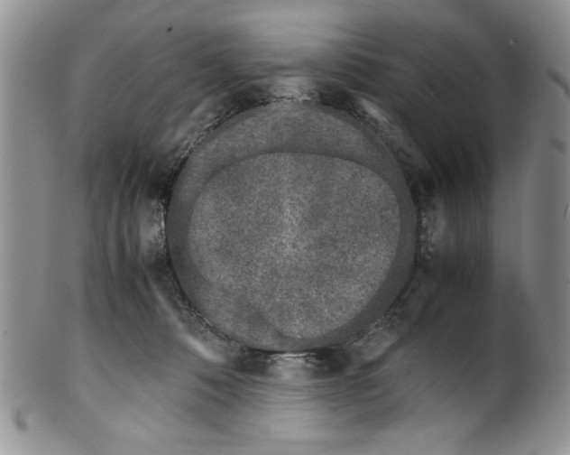 X0000099930320200806131408