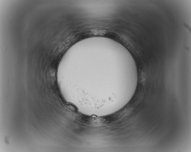 X0000099930321200806131408