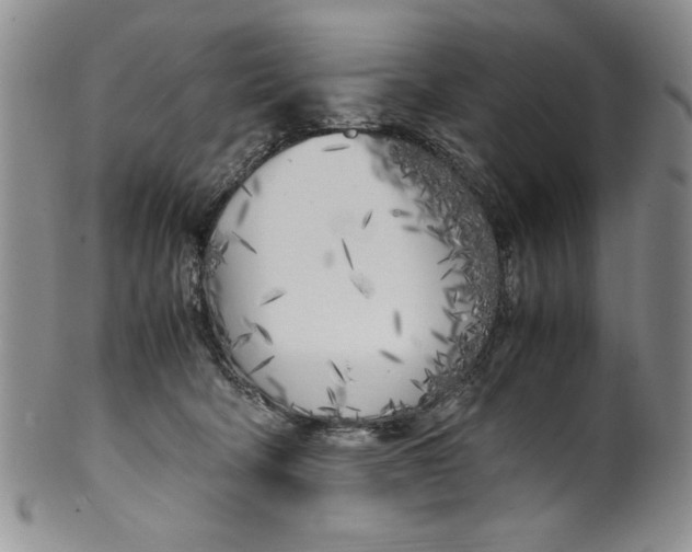 X0000099930322200806131408