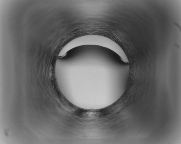 X0000099930323200806131408