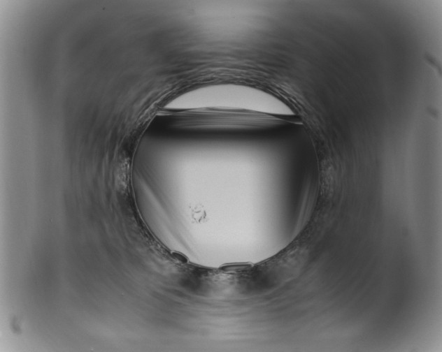 X0000099930325200806131408