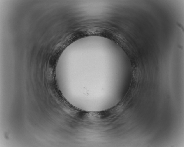 X0000099930327200806131408