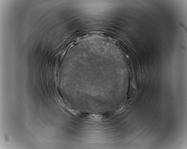 X0000099930328200806131408