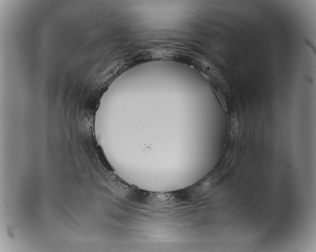 X0000099930329200806131408