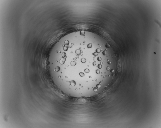 X0000099930330200806131408