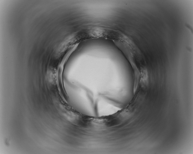 X0000099930332200806131408