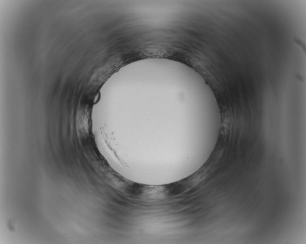 X0000099930334200806131408