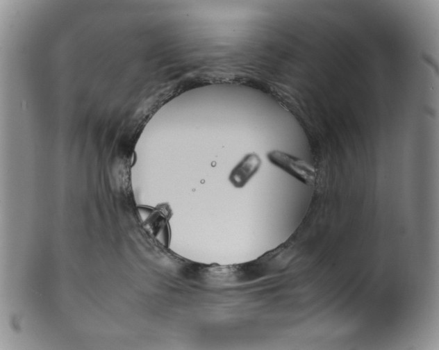 X0000099930335200806131408