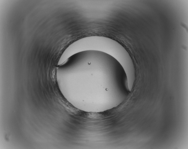 X0000099930336200806131408