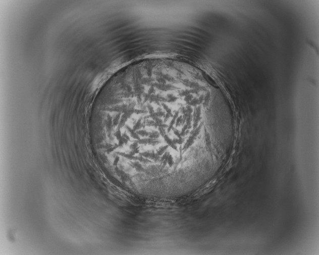 X0000099930337200806131407