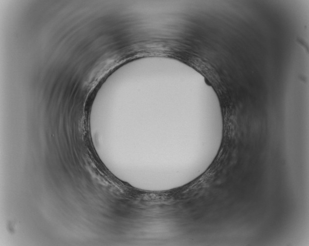 X0000099930338200806131407