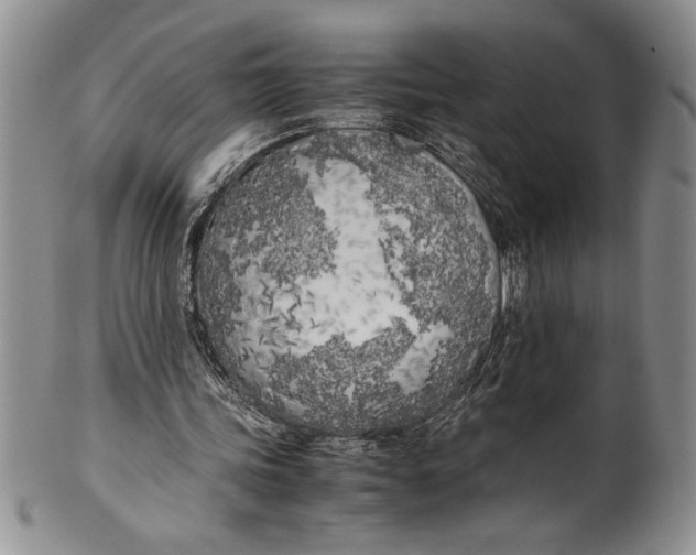 X0000099930339200806131408