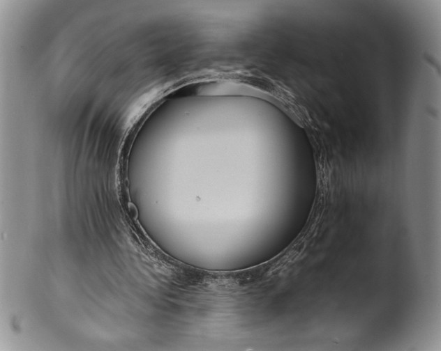 X0000099930340200806131408