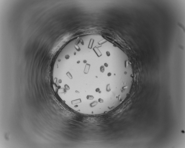 X0000099930341200806131408