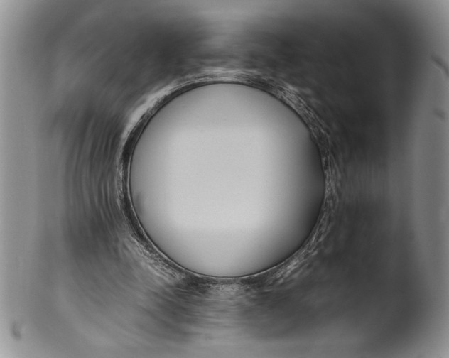 X0000099930342200806131408