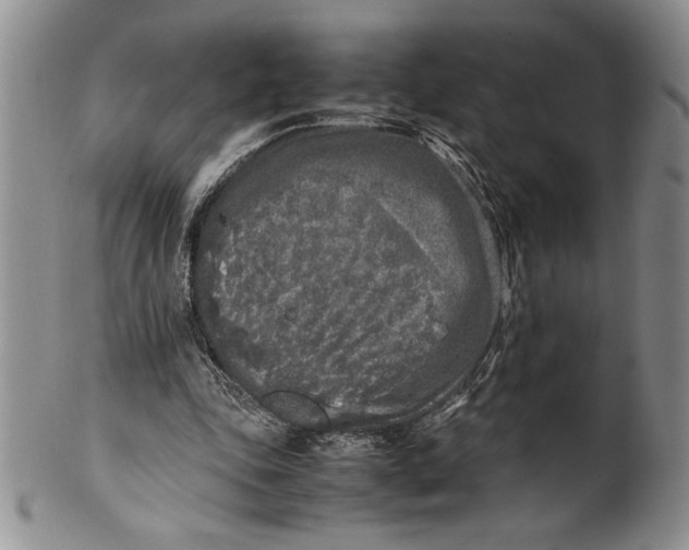 X0000099930343200806131408