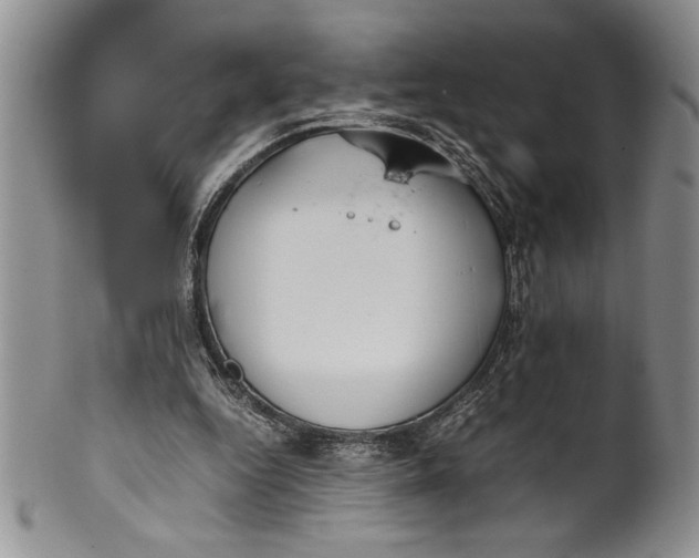 X0000099930344200806131408