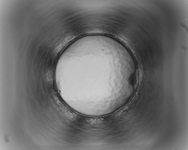 X0000099930345200806131408