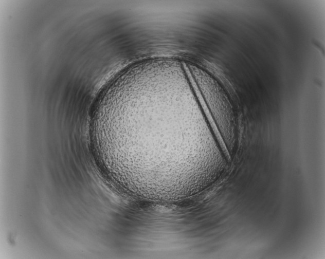 X0000099930346200806131408