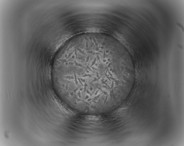 X0000099930347200806131408